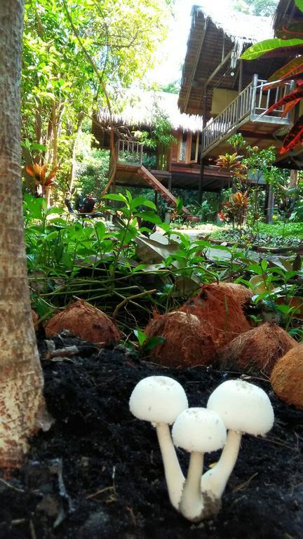 Kafair Hut (Adults Only) Koh Lipe Exterior foto